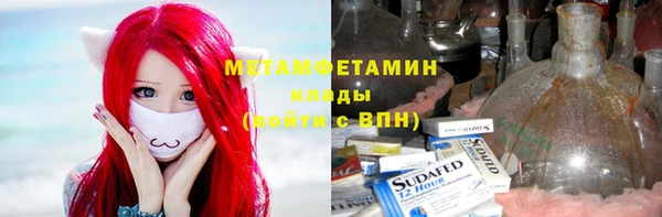 индика Снежногорск