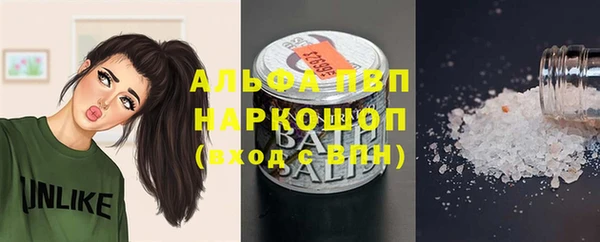 мет Няндома
