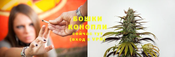 гашик Нягань