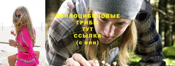 гашик Нягань