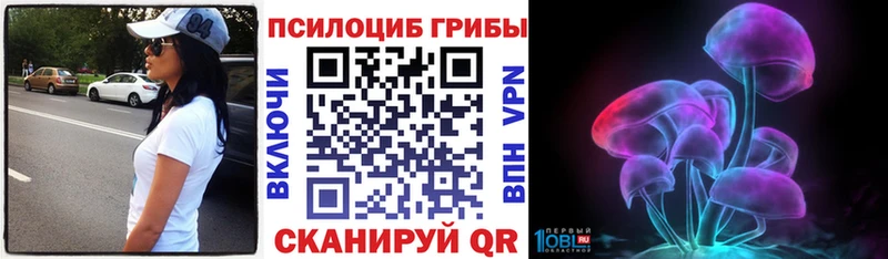 купить наркоту  Тара  Галлюциногенные грибы прущие грибы 