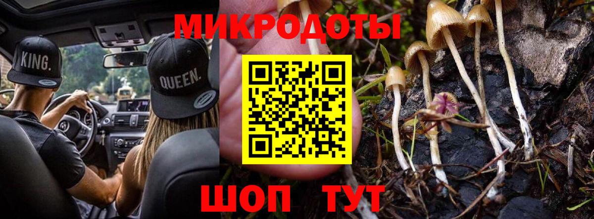 Тара  Галлюциногенные грибы Cubensis  Вход с VPN 