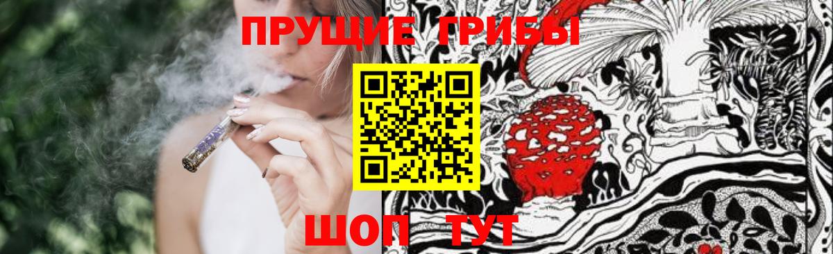 Псилоцибиновые грибы Cubensis  Тара 