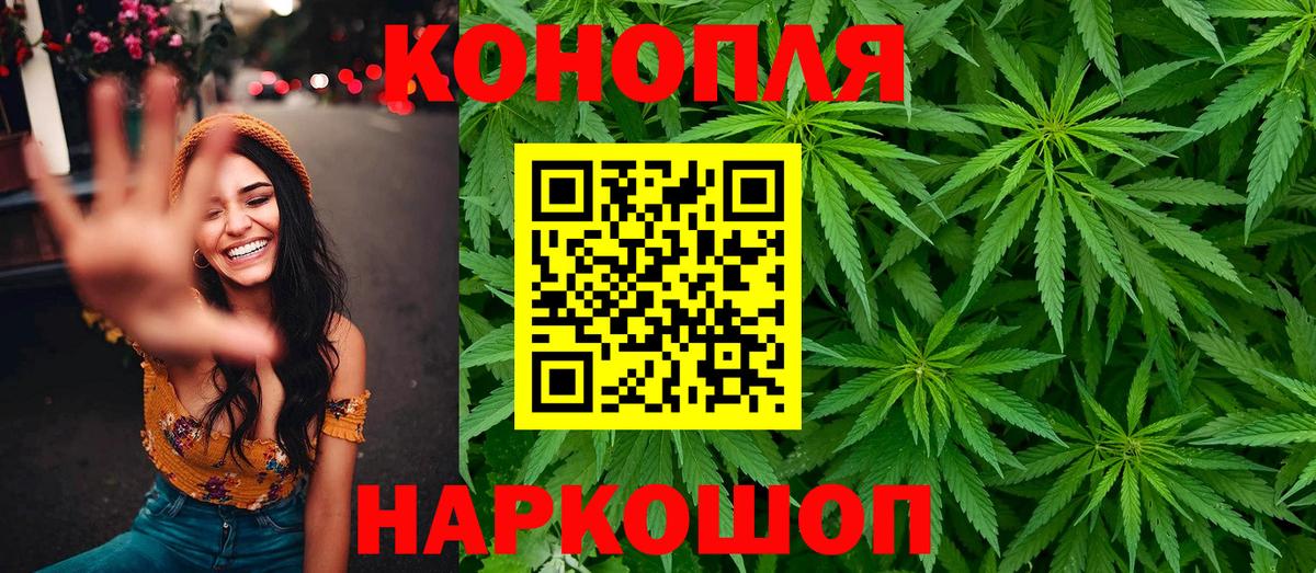 Бошки Шишки тримм Тара
